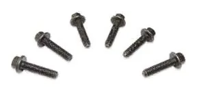 Injector Screw (Set of 6 Pcs.)