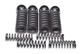 Shifting Shaft Ball & Spring Set of 12 Pcs.