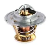 Thermostat Valve