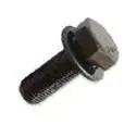 Fly Wheel Bolt