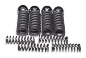 Shifting Shaft Ball & Spring Set of 12 Pcs.